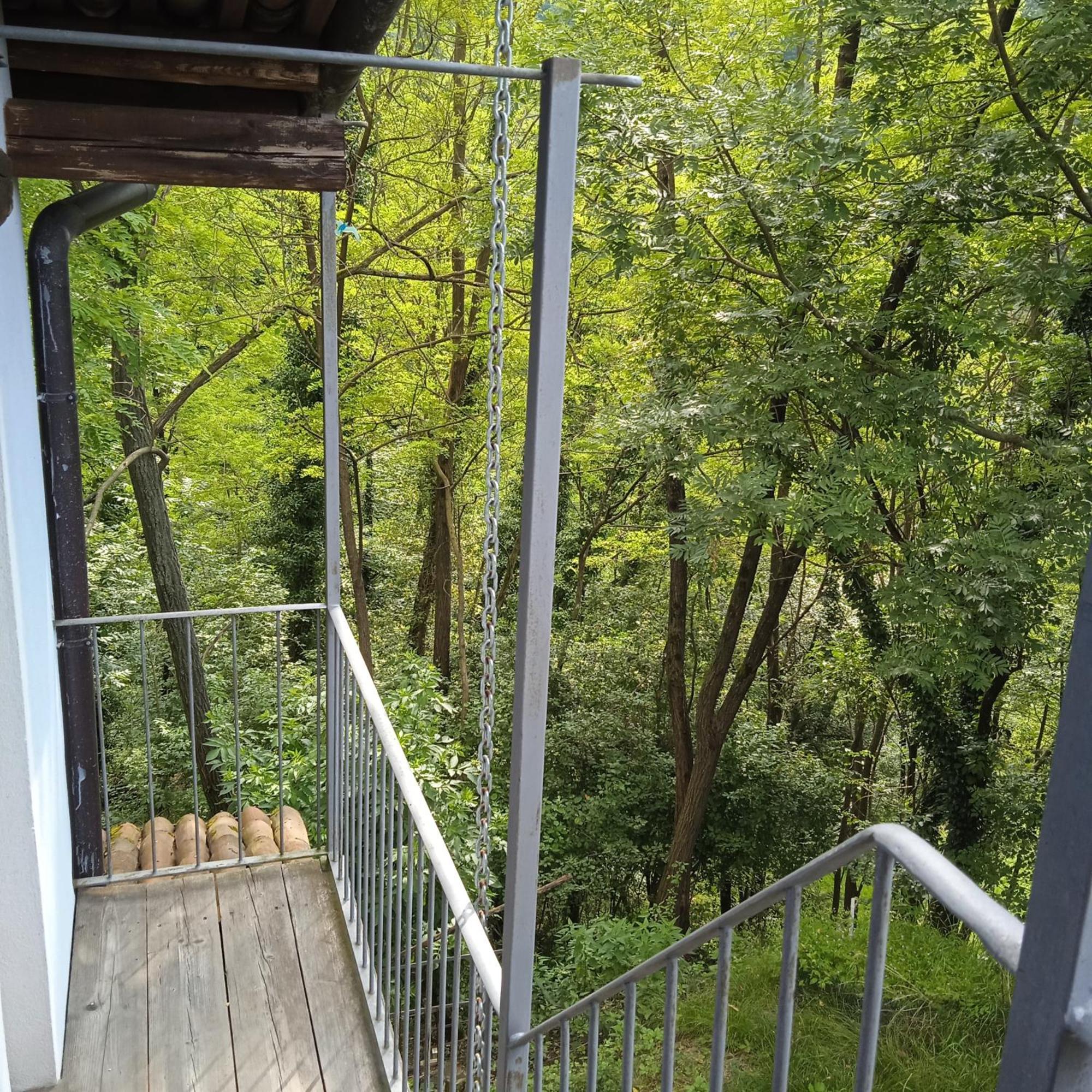 Il Canto Del Bosco Netro Екстериор снимка